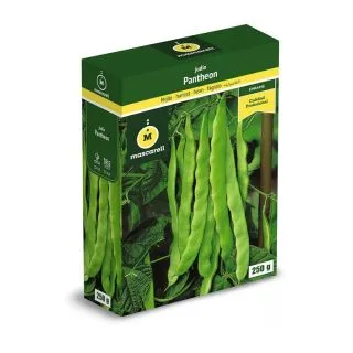 Compra JUDÍA PANTHEON (5 Kgr.). en la tienda online Fito Agrícola