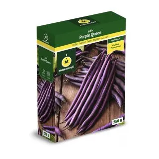 Compra JUDÍA PURPLE QUEEN (5 Kgr.). en la tienda online Fito Agrícola