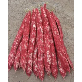 Compra JUDÍA ARCOBALENO (5 Kgr.) en la tienda online Fito Agrícola