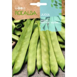 Compra JUDÍA BREDERO (100 gr.). en la tienda online Fito Agrícola