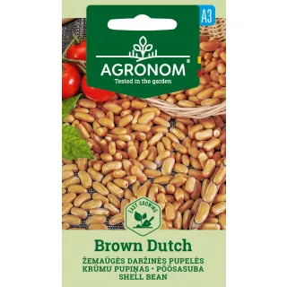 Compra JUDÍA BROWN DUTCH (8 gr.). en la tienda online Fito Agrícola