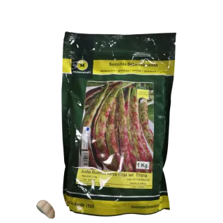 Compra JUDIA BUENOS AIRES ROJA Sel. Triana (1 Kgr.). en la tienda online Fito Agrícola