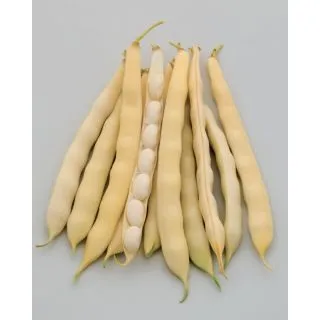 Compra JUDÍA DUCABIANCO (5 Kgr.) en la tienda online Fito Agrícola