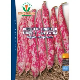 Compra JUDÍA LENGUA DE FUEGO 3 Sel. Extra (25 Kgr.) en la tienda online Fito Agrícola