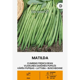 Compra JUDÍA MATILDA (15 gr.). en la tienda online Fito Agrícola