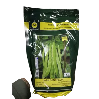 Compra JUDÍA PANTHEON (1 Kgr.). en la tienda online Fito Agrícola