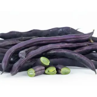 Compra JUDÍA REDONDA MORADA ENRAME MS6 en la tienda online Fito Agrícola