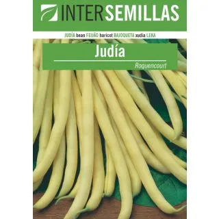 Compra JUDÍA ROCQUENCOURT (5 Kgr.). en la tienda online Fito Agrícola