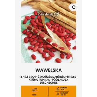 Compra JUDÍA WAWELSKA (15 gr.). en la tienda online Fito Agrícola
