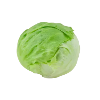 Compra LECHUGA KEALIA Píldora Sphera (25.000 Semillas) en la tienda online Fito Agrícola