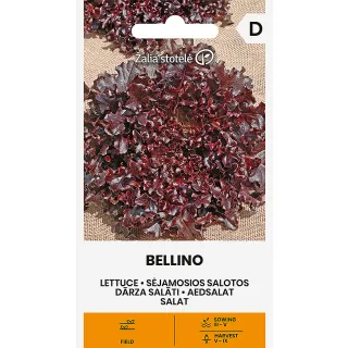 Compra LECHUGA BELLINO (0,3 gr. - Cerca de 250 Semillas). en la tienda online Fito Agrícola