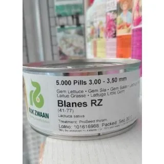 Compra LECHUGA BLANES RZ Pildorada (5.000 Semillas). en la tienda online Fito Agrícola