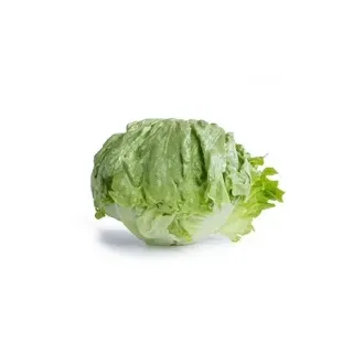 Compra LECHUGA BURGALIA RZ Pildorada (5.000 Semillas). en la tienda online Fito Agrícola