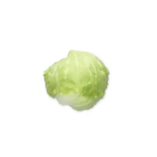 Compra LECHUGA CASONAS RZ Pildorada (5.000 Semillas). en la tienda online Fito Agrícola