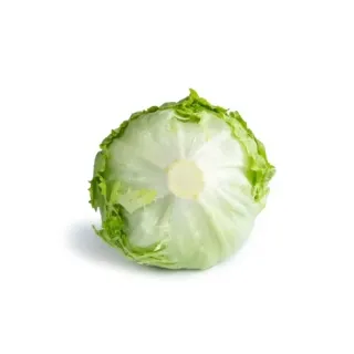 Compra LECHUGA CLARINAS RZ Pildorada (5.000 Semillas). en la tienda online Fito Agrícola