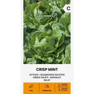 Compra LECHUGA CRISP MINT (1 gr. - Cerca de 800 Semillas). en la tienda online Fito Agrícola