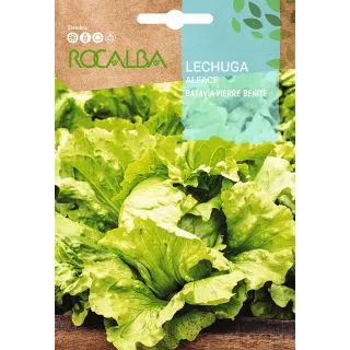 Compra LECHUGA PIERRE BENITE (6 gr.). en la tienda online Fito Agrícola