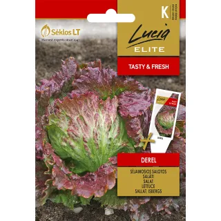 Compra LECHUGA DEREL (1 gr. - Cerca de 750 semillas). en la tienda online Fito Agrícola