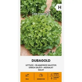 Compra LECHUGA DUBAGOLD (1 gr. - Cerca de 750 Semillas). en la tienda online Fito Agrícola