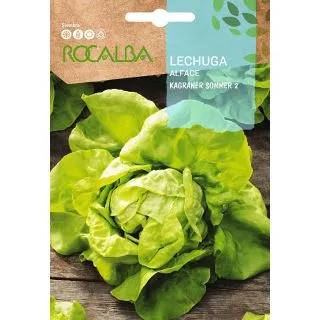 Compra LECHUGA KAGRANER SOMMER 2 (6 gr.). en la tienda online Fito Agrícola