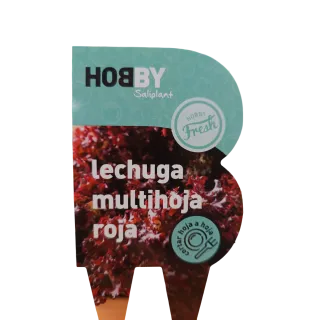 Compra LECHUGA MULTIHOJAS ROJA HOBBY FRESH M11 en la tienda online Fito Agrícola