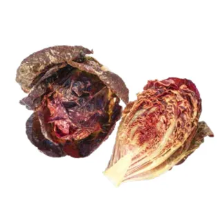 Compra LECHUGA VOLCANA Pildorada (5.000 Semillas) en la tienda online Fito Agrícola