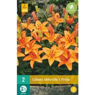 Compra LILIUM ABBEVILLE'S PRIDE en la tienda online Fito Agrícola