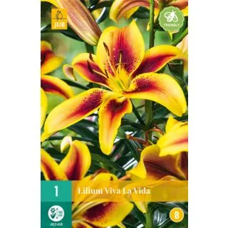 Compra LILIUM VIVA LA VIDA en la tienda online Fito Agrícola