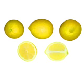 Compra LIMONERO EUREKA - 17 en la tienda online Fito Agrícola