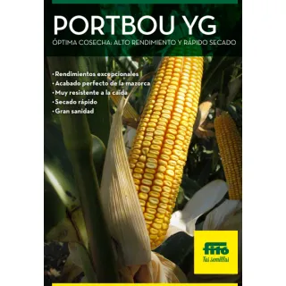 Compra MAÍZ PORTBOU Ciclo 700 Con Lumiposa (50.000 Semillas) en la tienda online Fito Agrícola