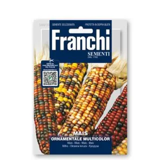 Compra MAÍZ ORNAMENTAL MULTICOLOR (100 gr.). en la tienda online Fito Agrícola