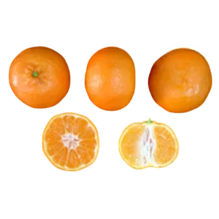 Compra MANDARINO CLEMENTINO CLEMENULES - 17 en la tienda online Fito Agrícola