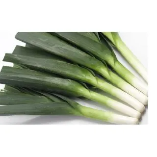 Compra PUERRO MEGATON F1 Precisión (25.000 Semillas) en la tienda online Fito Agrícola