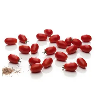 Compra TOMATE MELERO F1 (1.000 Semillas) en la tienda online Fito Agrícola