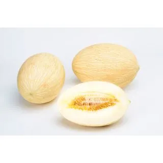 Compra MELÓN GRAND FARIA F1 (1.000 Semillas). en la tienda online Fito Agrícola