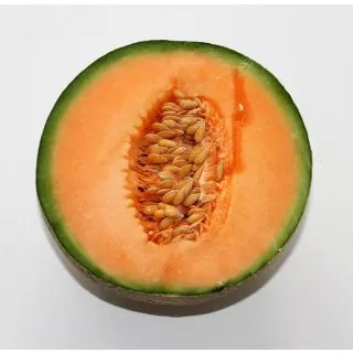 Compra MELÓN RETATO DEGLI ORTOLANI (500 gr.) en la tienda online Fito Agrícola