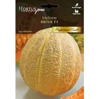 Compra MELÓN BRIXIE F1 (1 gr.) en la tienda online Fito Agrícola