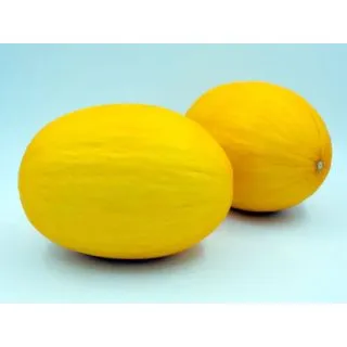 Compra MELÓN HAWAI F1 (1.000 Semillas) en la tienda online Fito Agrícola