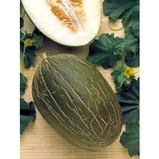 Compra MELÓN ROCHET ( 100 gr.) en la tienda online Fito Agrícola