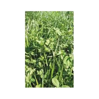 Compra PASTOREO SIEGA ANUAL NORTE ESPAÑA (25 Kgr.). en la tienda online Fito Agrícola