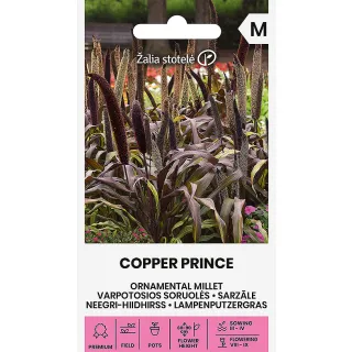 Compra MIJO ORNAMENTAL PRÍNCIPE DE COBRE (10 Semillas). en la tienda online Fito Agrícola