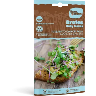 Compra RABANITO DAIKON ROJO MICROGREENS (5 gr.) en la tienda online Fito Agrícola