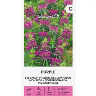 Compra BÁLSAMO DE ABEJA PÚRPURA (0,3 gr.- carca de 700 Semillas). en la tienda online Fito Agrícola