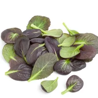 Compra MOSTAZA KOMATSUNA ROJA BABY LEAF ECOLÓGICA (50 gr.). en la tienda online Fito Agrícola