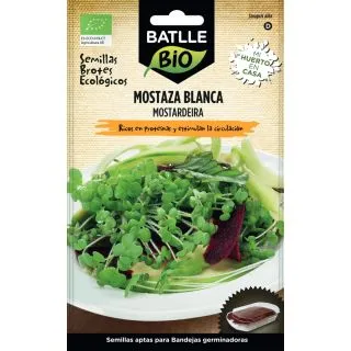 Compra MOSTAZA BLANCA MICROGREENS ECOLÓGICA (20 gr.). en la tienda online Fito Agrícola