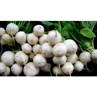 Compra NABO COPITO F1 (250 gr.). en la tienda online Fito Agrícola