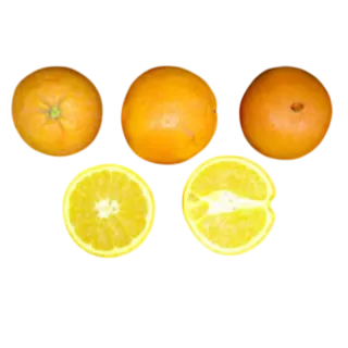 Compra NARANJO NAVEL FUKUMOTO - 17 en la tienda online Fito Agrícola