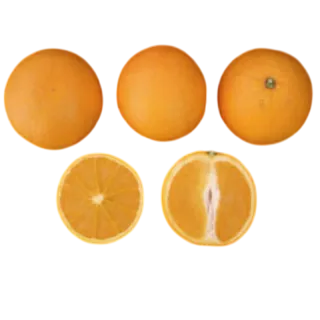 Compra NARANJO VALENCIA MIDKNIGHT - 17 en la tienda online Fito Agrícola