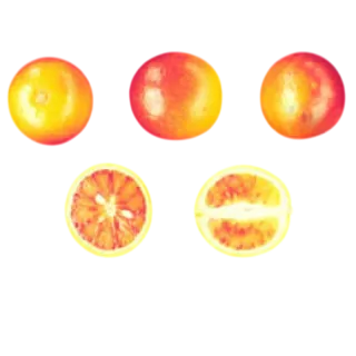 Compra NARANJO SANGUINELLI - 17 en la tienda online Fito Agrícola