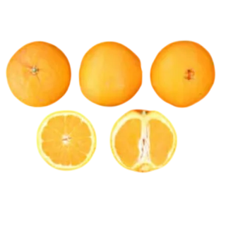 Compra NAVEL WASHINGTON FOYOS - 17 en la tienda online Fito Agrícola